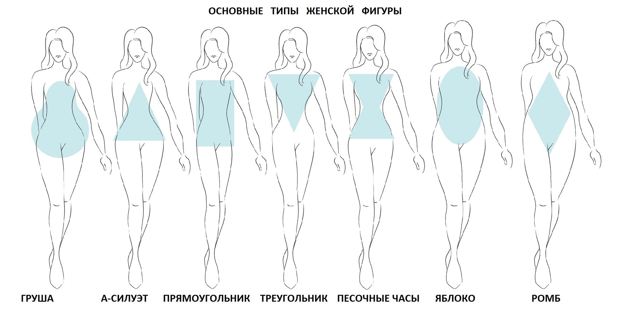 Виды u. Типы телосложения женских фигур. Какие типы фигур бывают у женщин. Как определить Тип телосложения у женщин. Телосложение женщины рисунок типы.